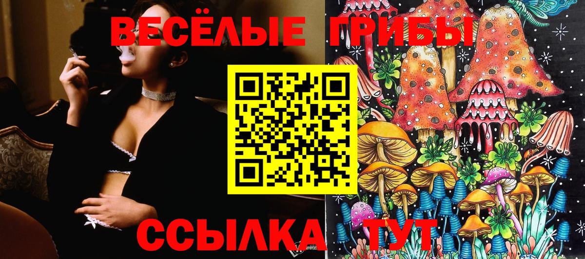Галлюциногенные грибы Cubensis  Вход с VPN  Галлюциногенные грибы GOLDEN TEACHER  как найти закладки  Кушва 